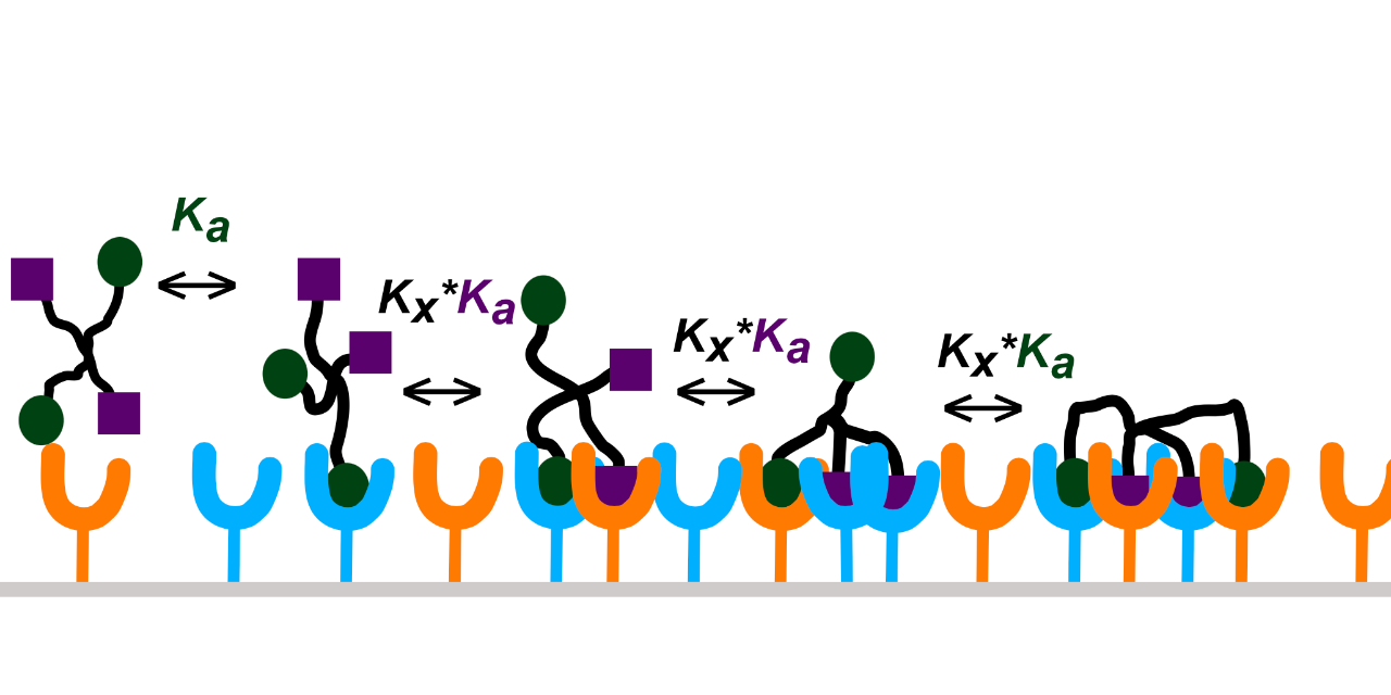 cell-selective-ligands