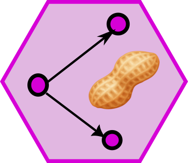 PNetica