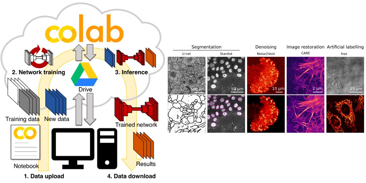 GitHub - HenriquesLab/ZeroCostDL4Mic: ZeroCostDL4Mic: A Google Colab ...