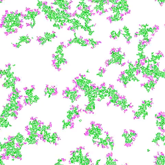 GitHub - EgorZarubin/PandemicSimulation: algorithm simulate virus ...