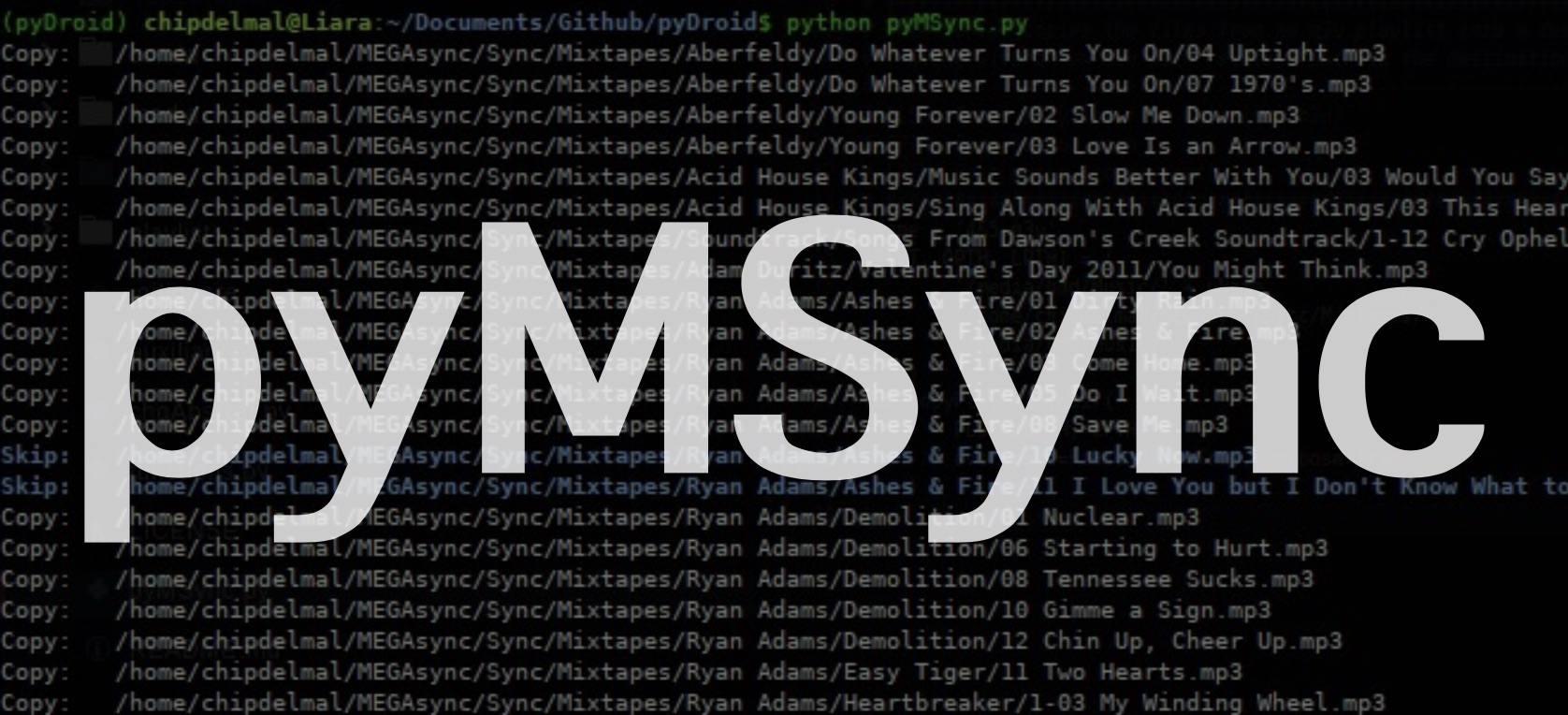 pyMSync