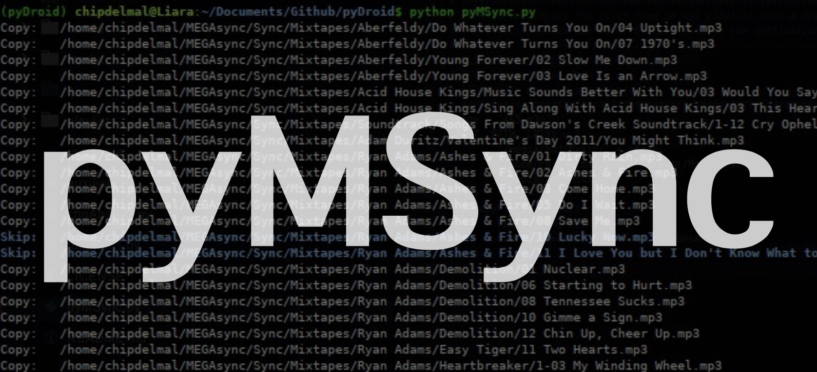 pymsync