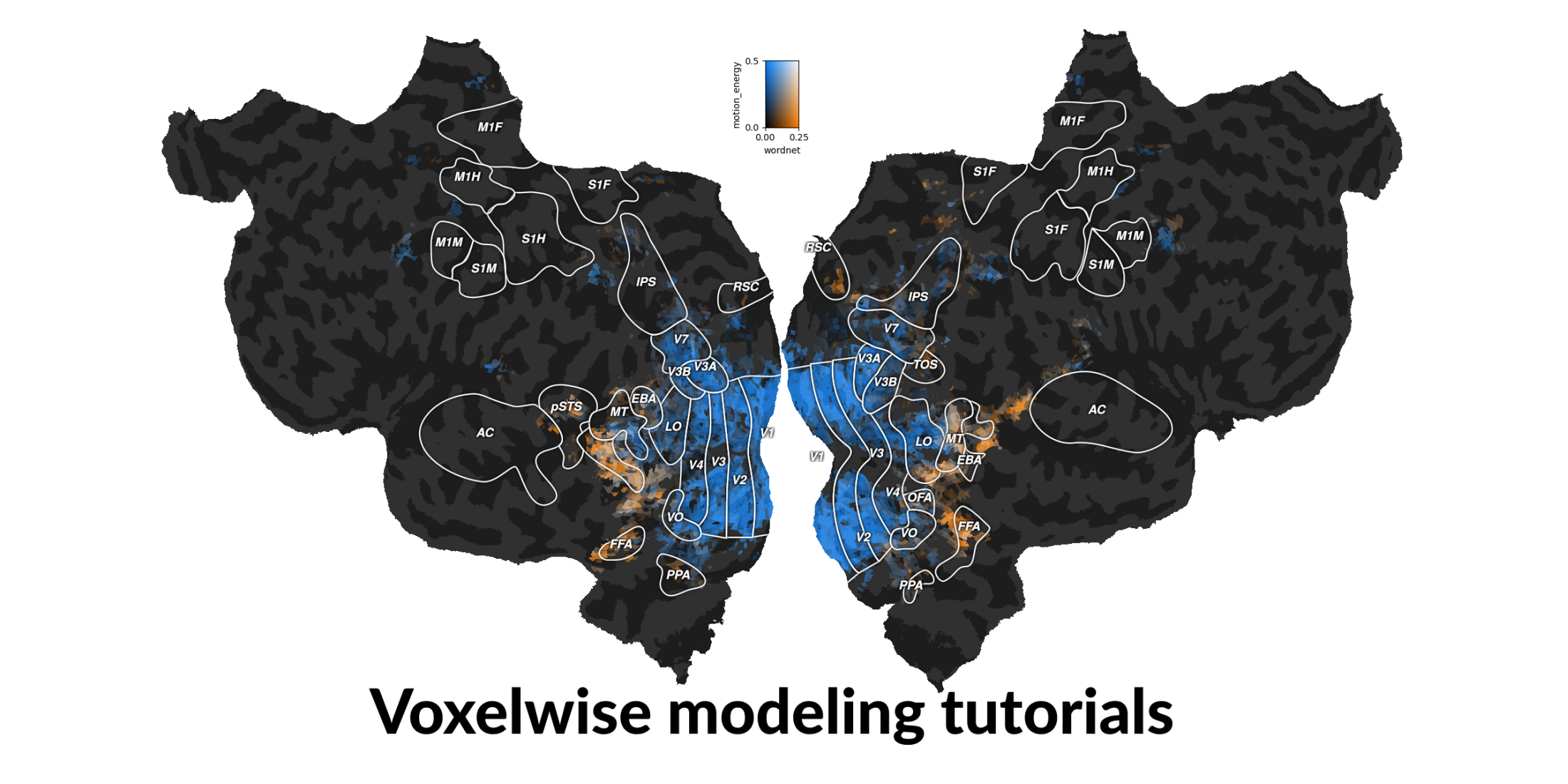 voxelwise_tutorials