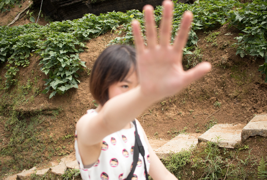 Github Kougiwang Kazumi Github Io