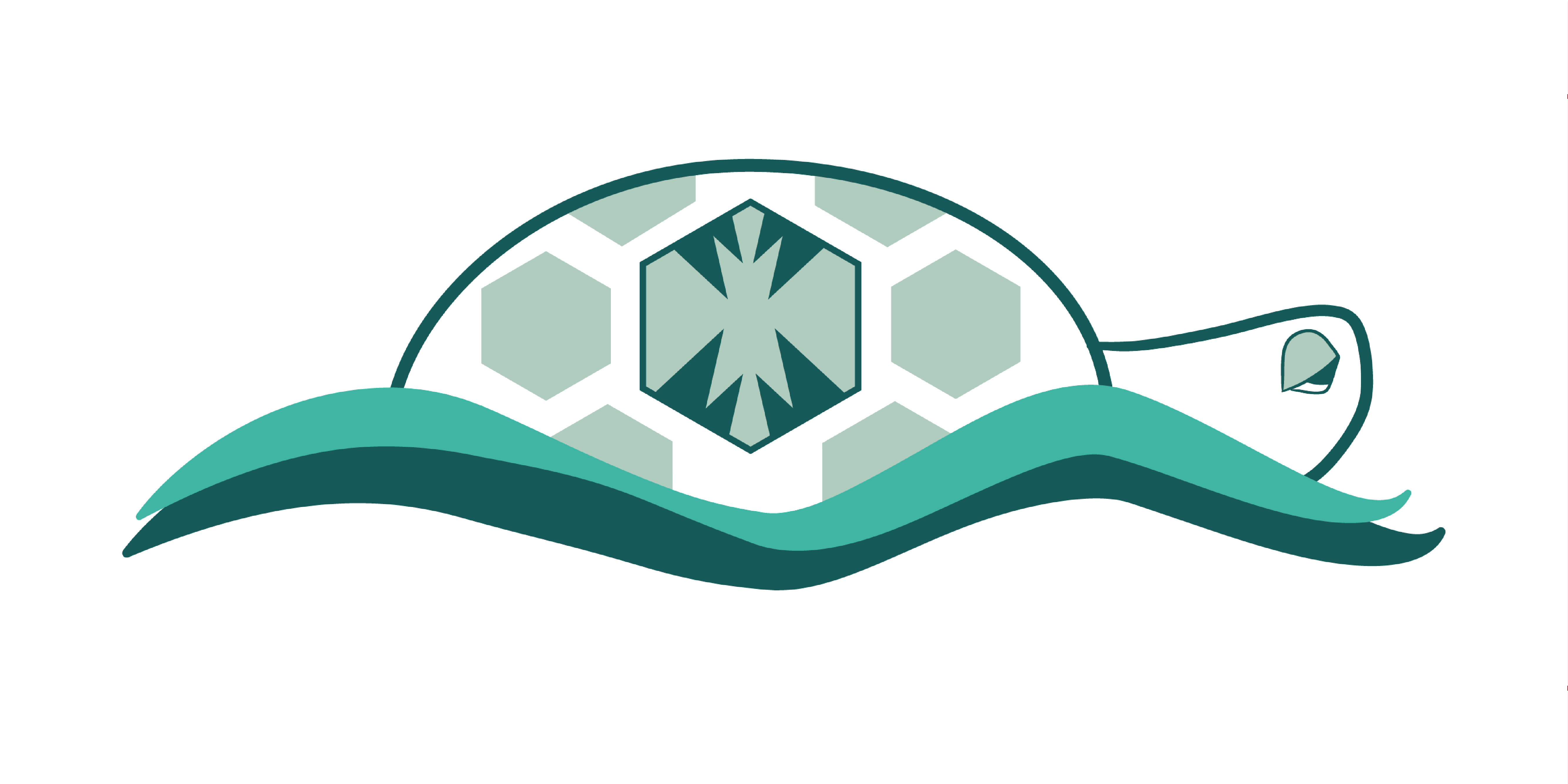 Github turtletools caretta a software suite to perform multiple