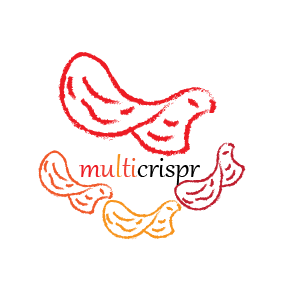 GitHub - loosolab/multicrispr · GitHub