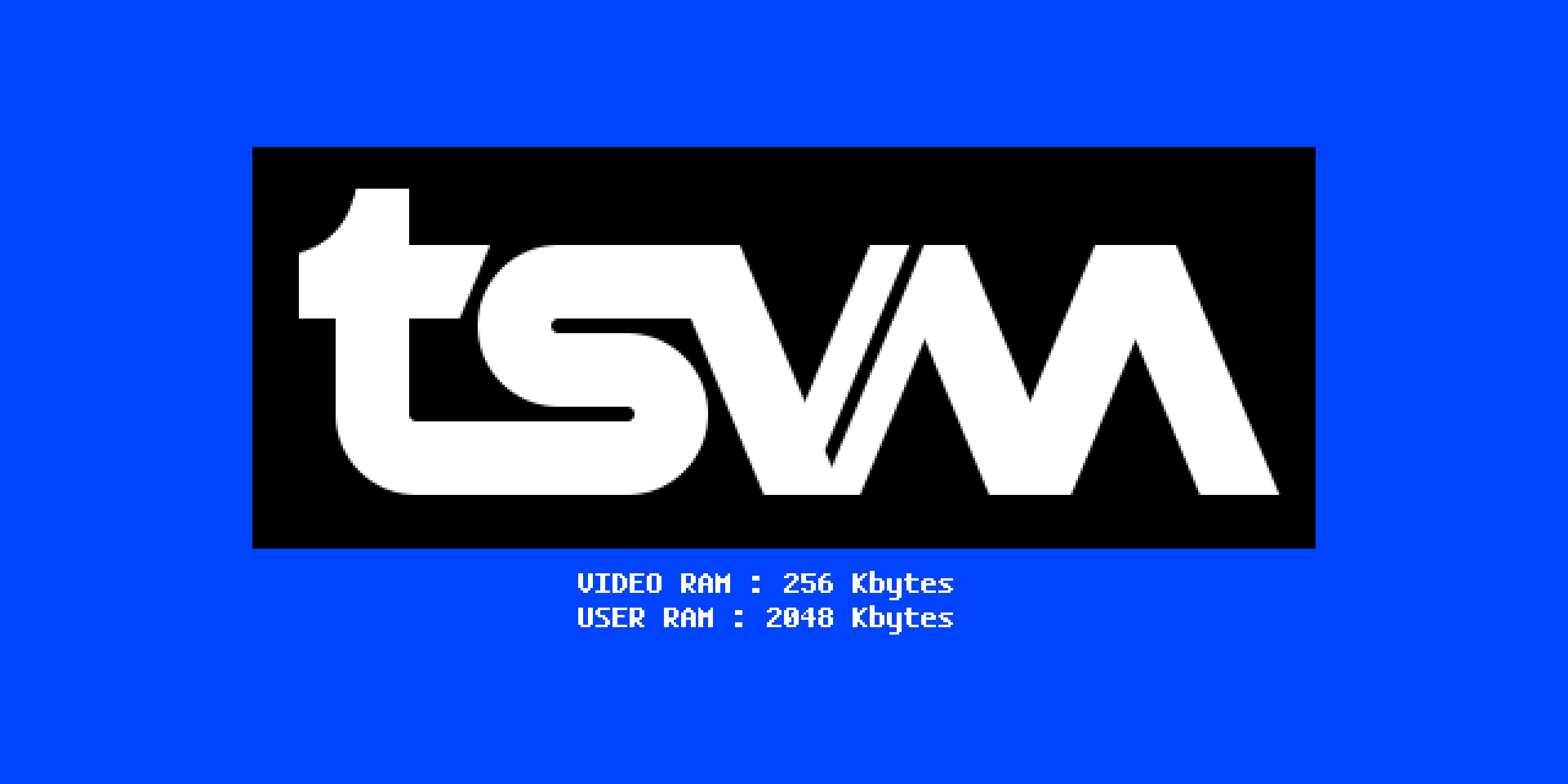 tsvm