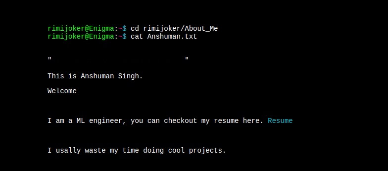 rimijoker/Fake_Terminal_Resume_Website