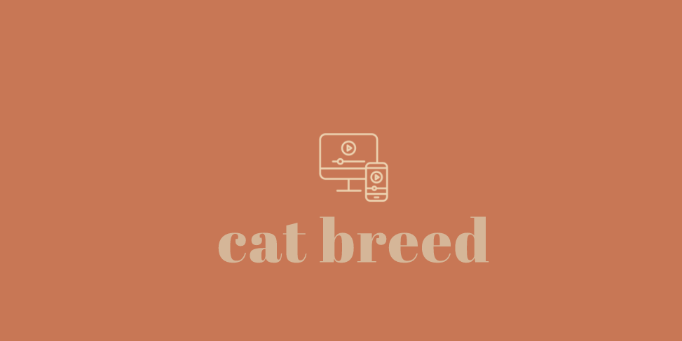 GitHub - xredlinex/CatBreeds: cat breeds the cats api