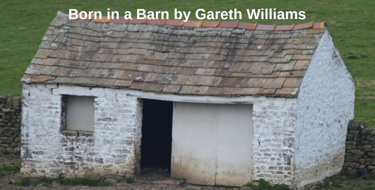 born-in-a-barn