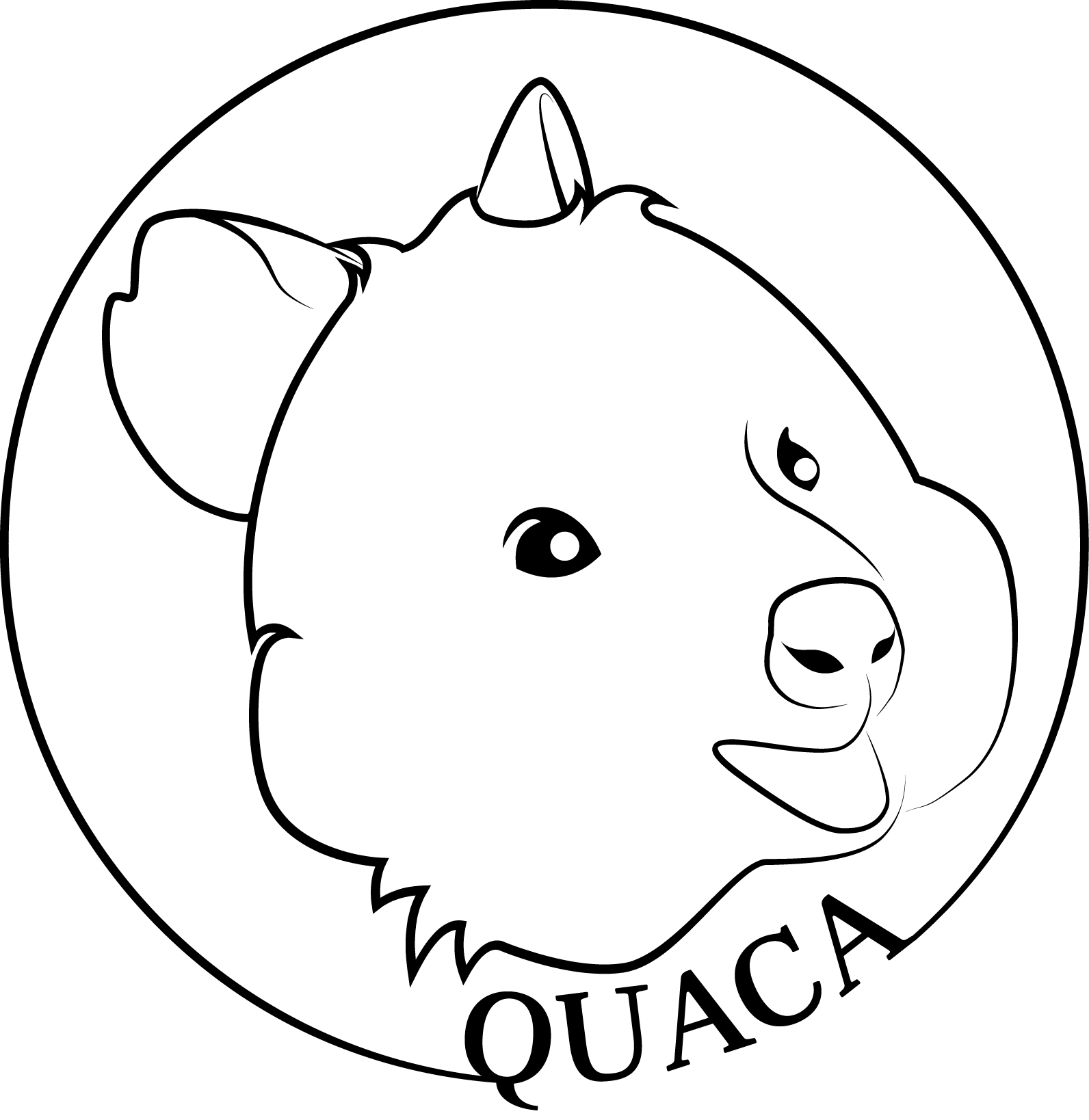 quaca