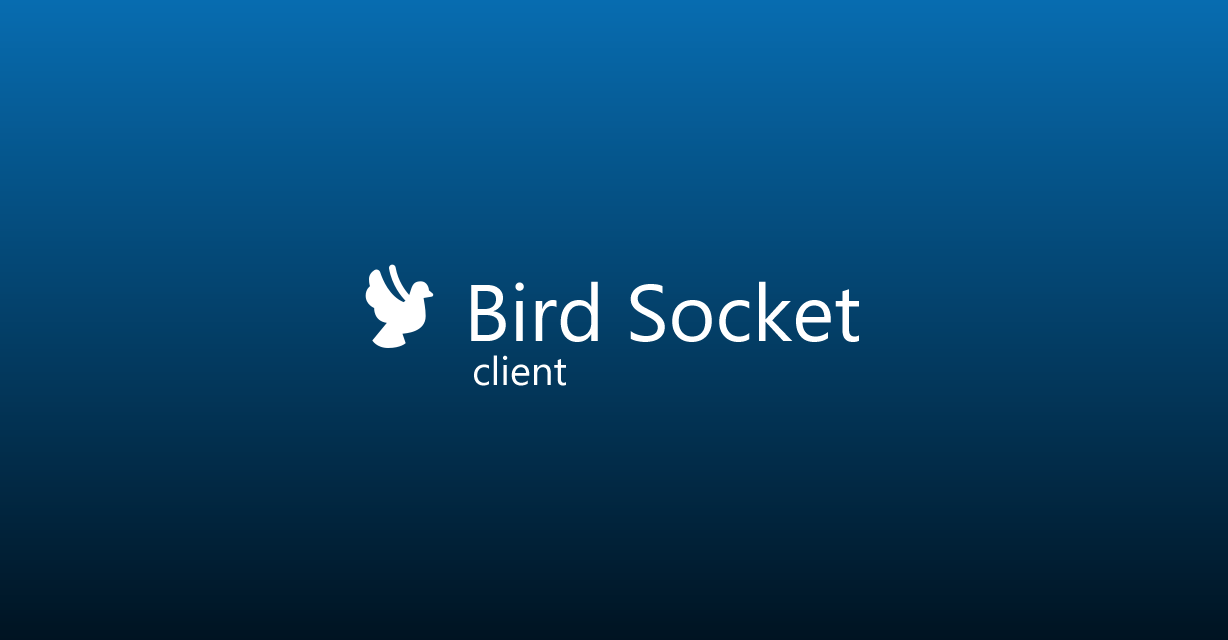 mateusvicente100/bird-socket-client