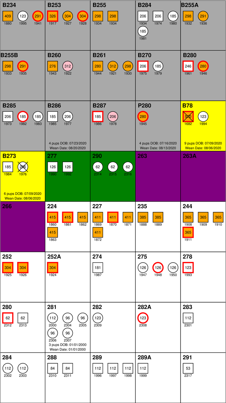 Github Daveant1 Lab Graphic Project