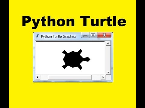 Turtle-Python