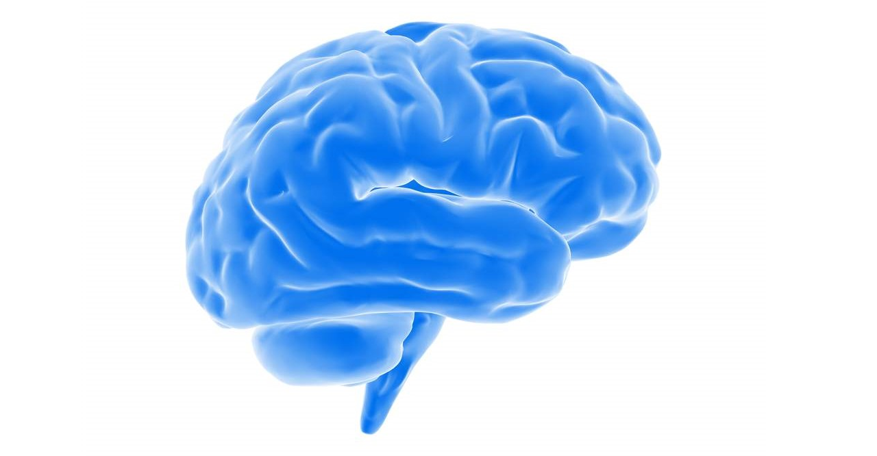 Github intel cppnnml the c neural network and machine learning