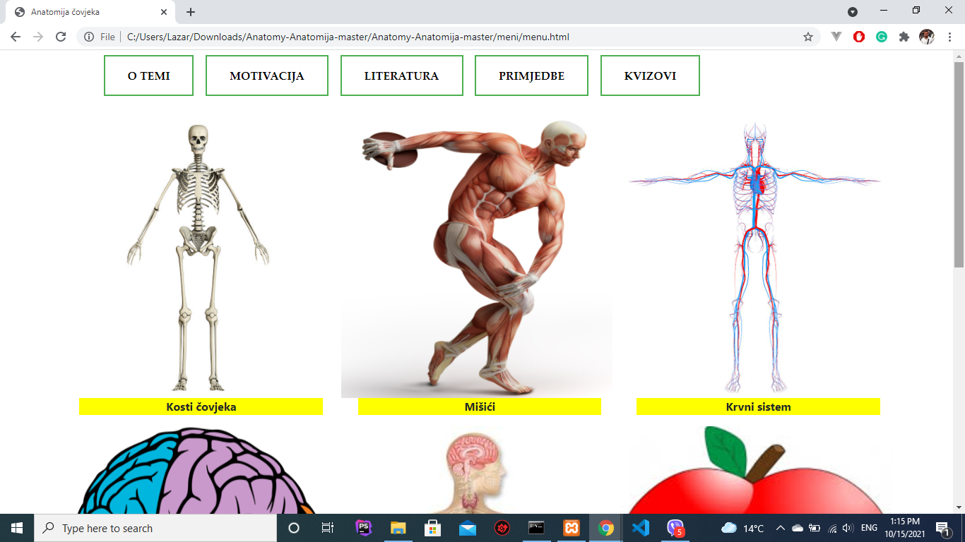 GitHub - lazarpmf/Anatomy-Anatomija: Human anatomy app