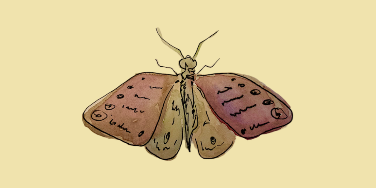 GitHub - RyanT5/mothzine: Mothzine is a Edinburgh based digital zine ...