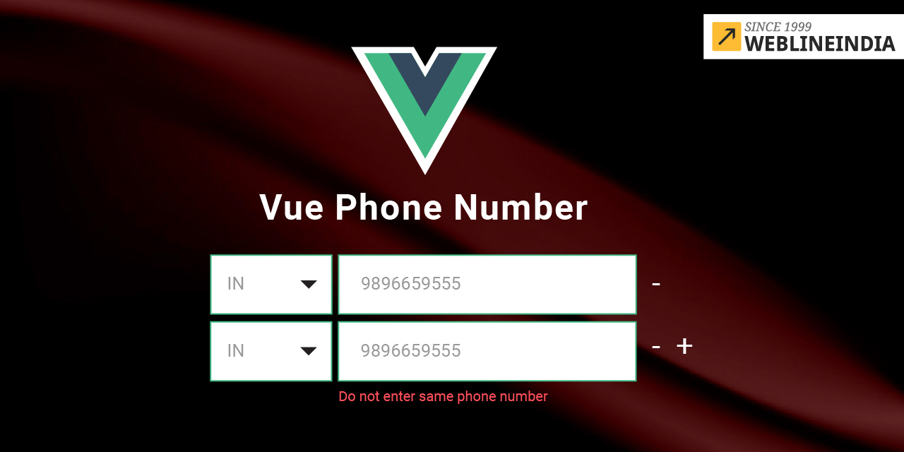 vue-phone-number