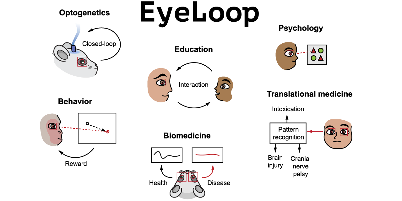 Eye Tracking Github Topics Github