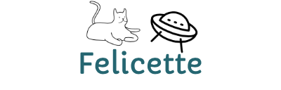 GitHub - plant99/felicette: Satellite imagery for dummies.