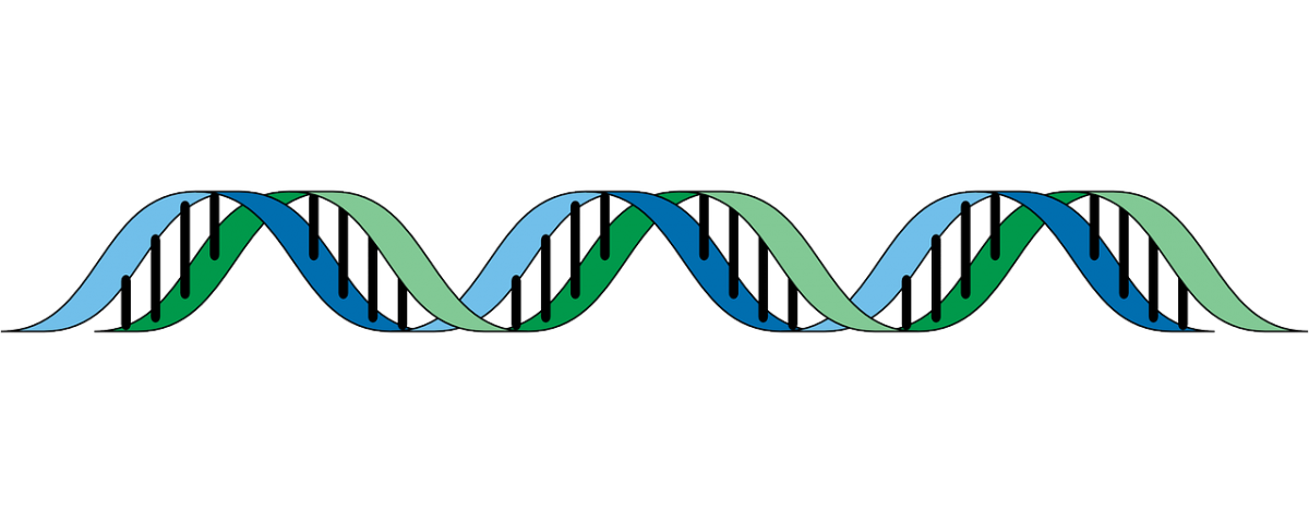 genetic-algorithm