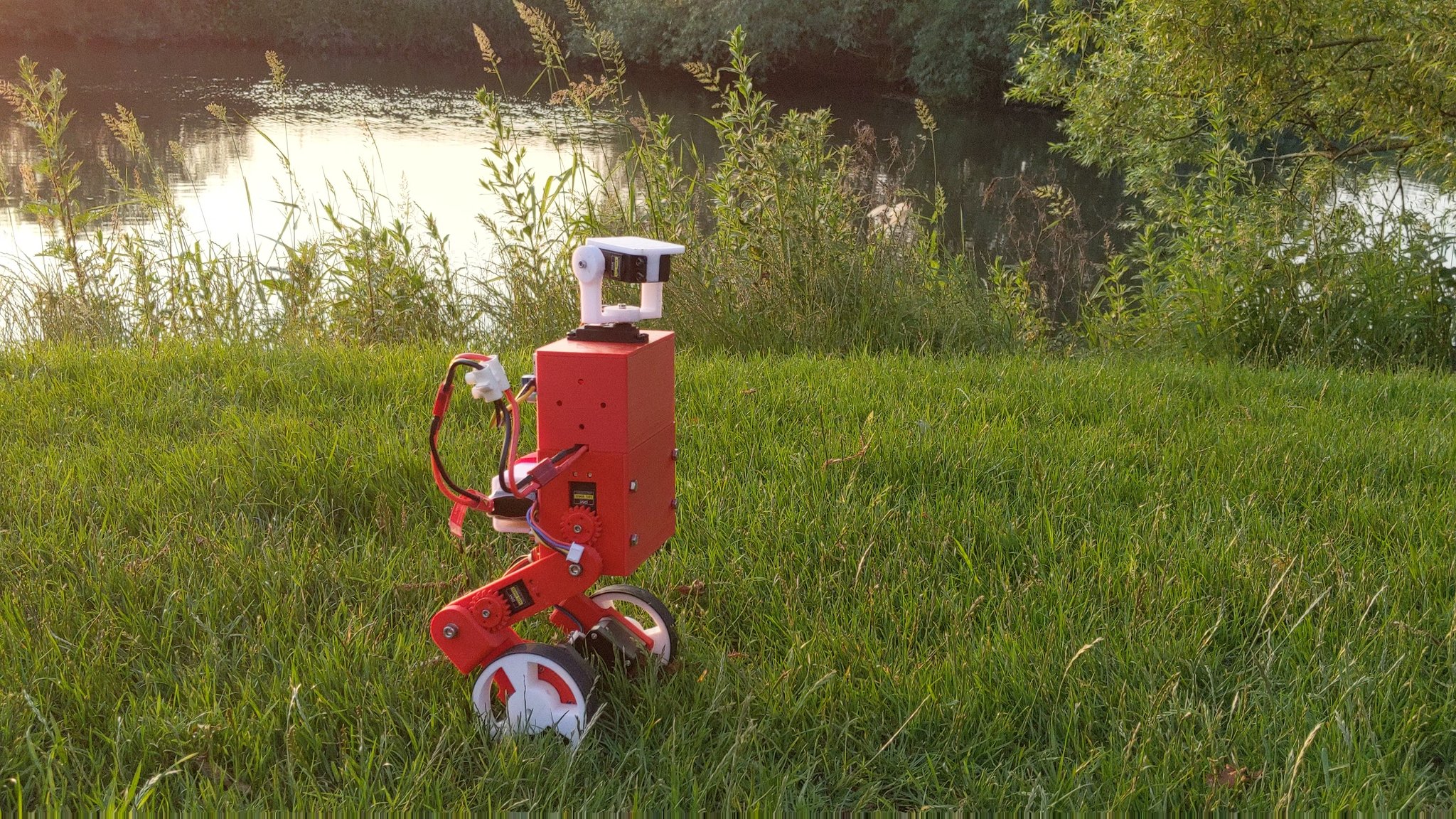 Raspberry pi store self balancing robot