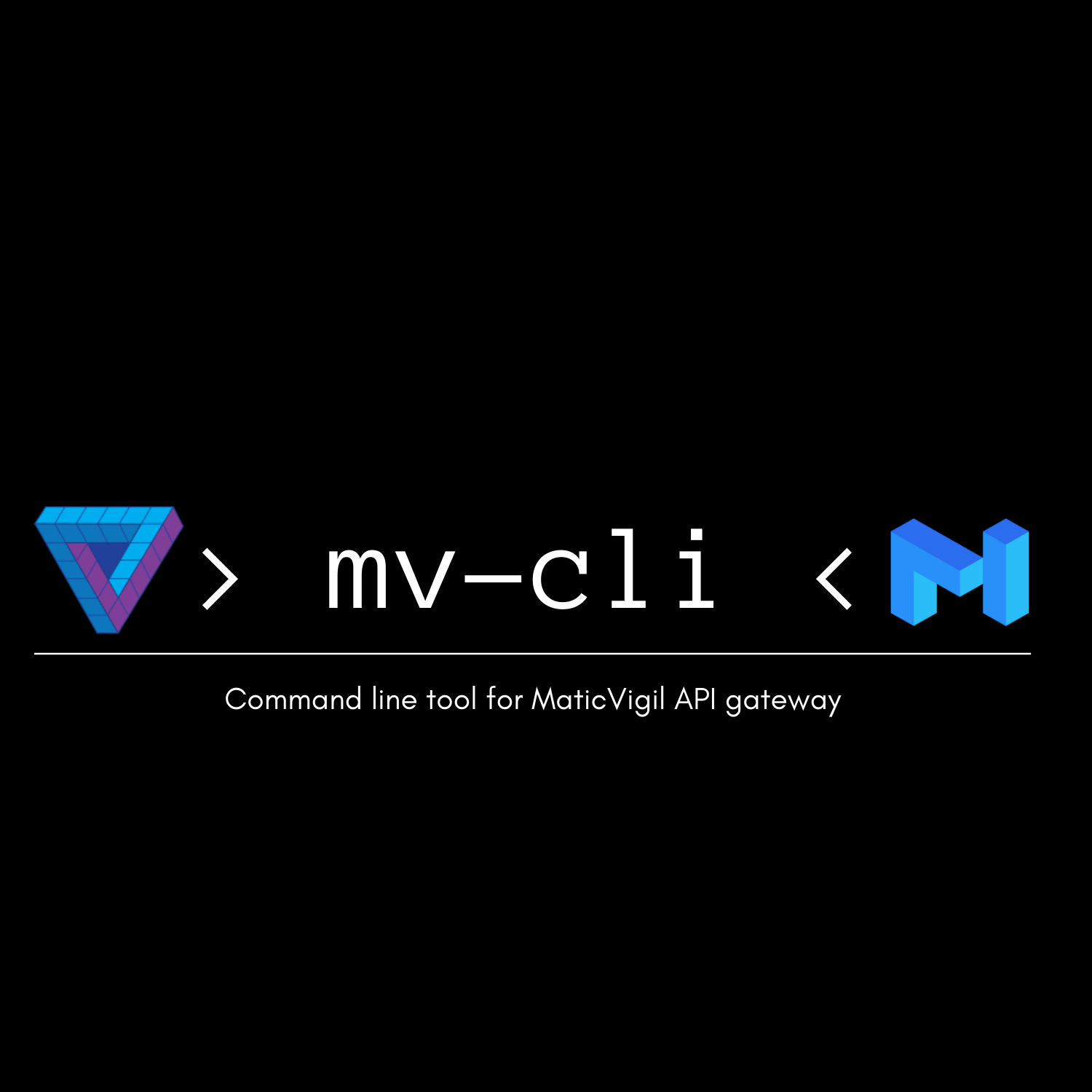 maticvigil-cli