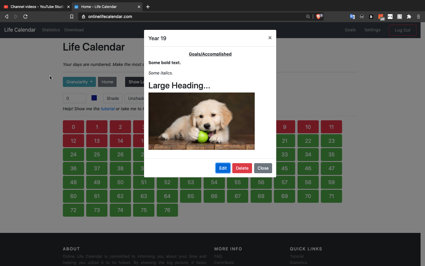 GitHub Destaq/life calendar: View and plan your life in an online