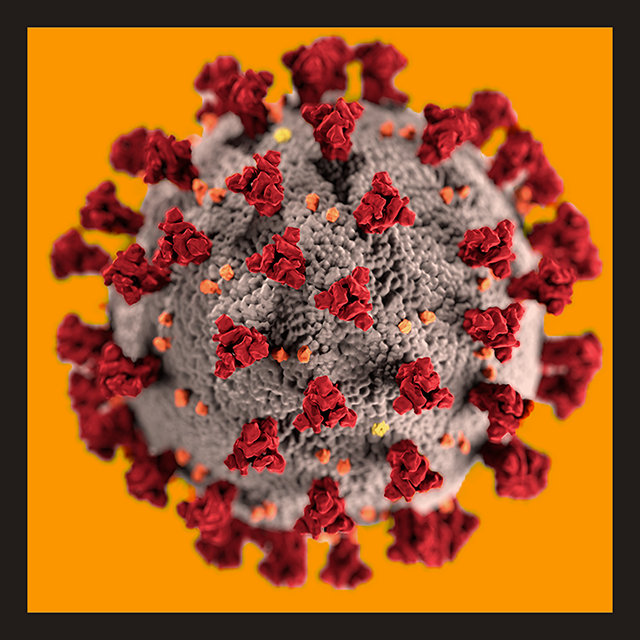 GitHub - farhanjune/Outbreak-Data: Multi-Sourced Outbreak Data · GitHub