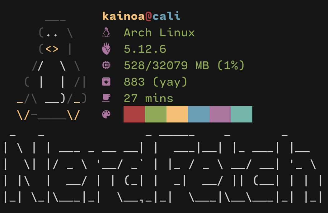 ThatOneCalculator/NerdFetch