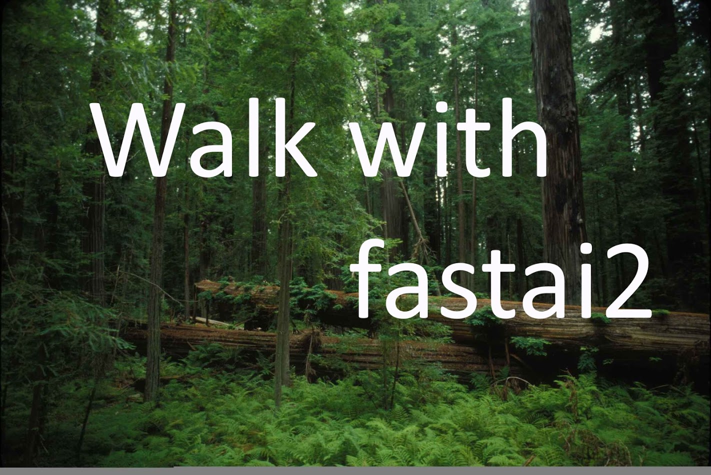 walkwithfastai/walkwithfastai.github.io