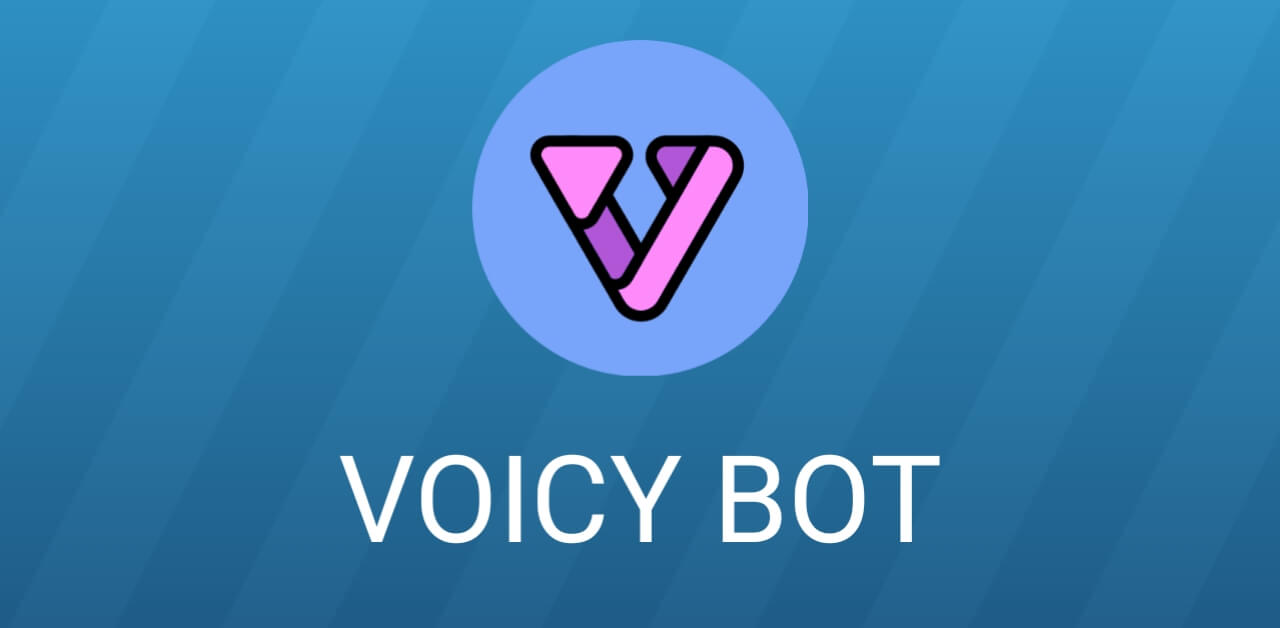 Voicy---Discord-Bot-Webpage