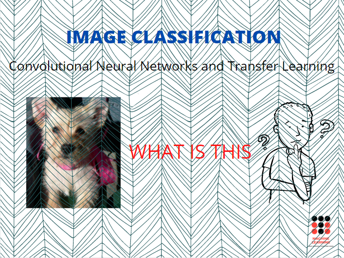 Cats-vs-dogs-classification-computer-vision-