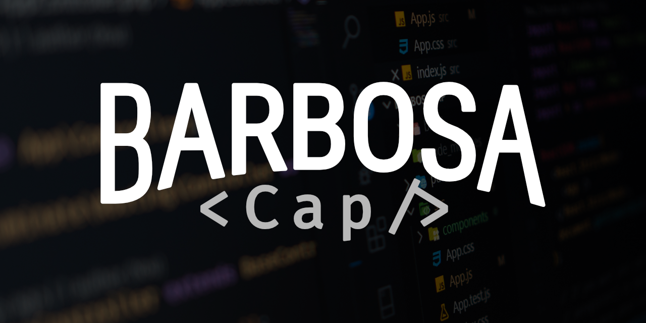 BarbosaCap Website