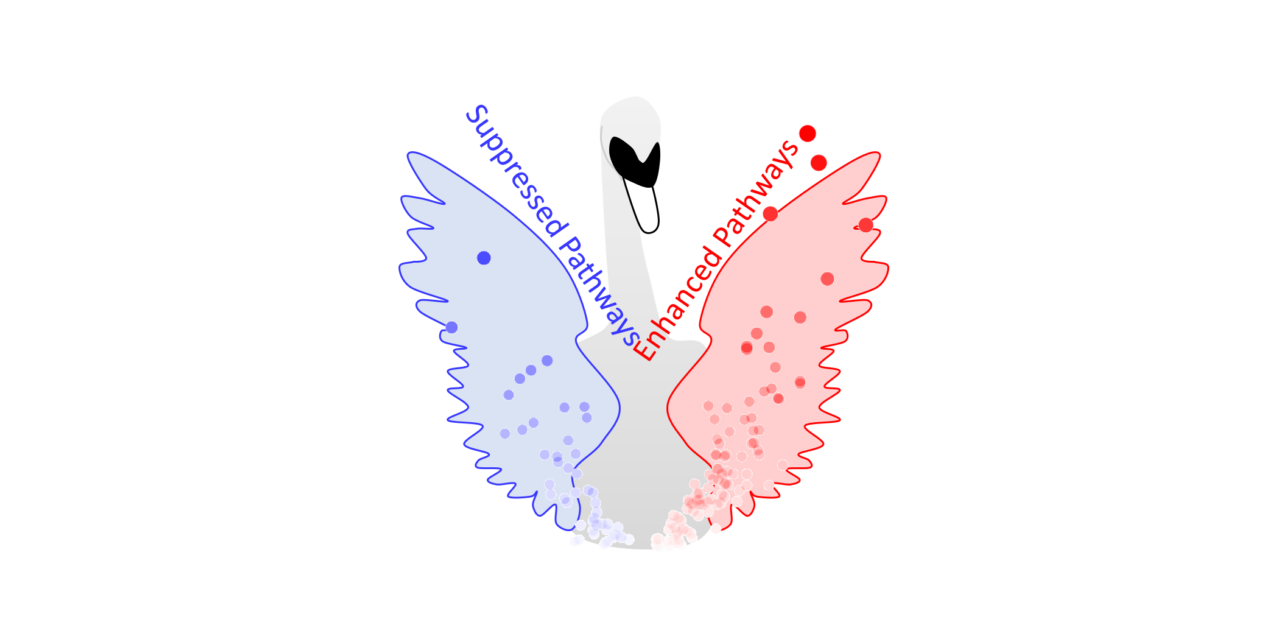 GitHub - jrdelaney/SWAN: Shifted Weighted Annotation Network · GitHub