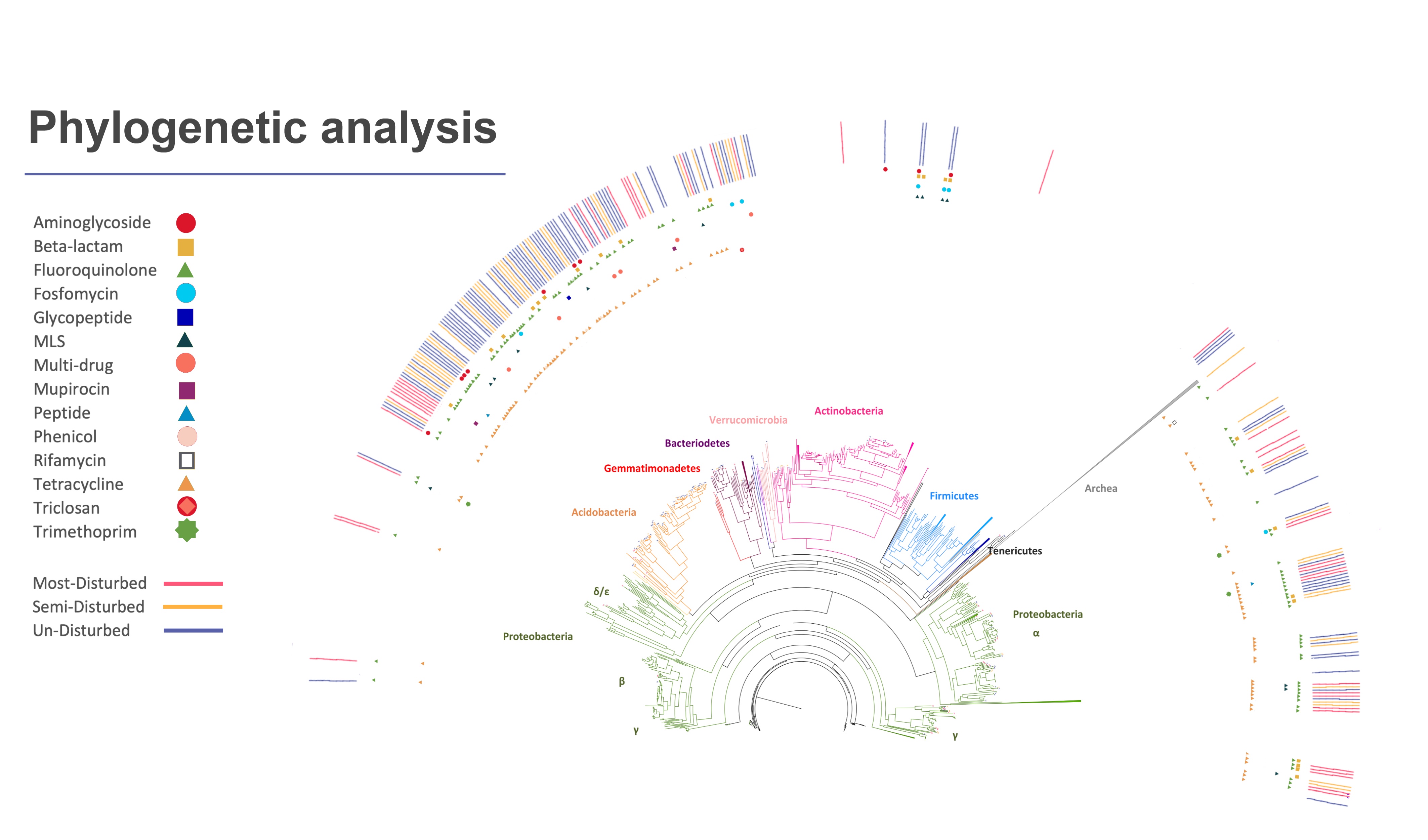 GitHub - tjhaan/HiCPhylogenyWorkflow: Building a phylogenetic tree ...
