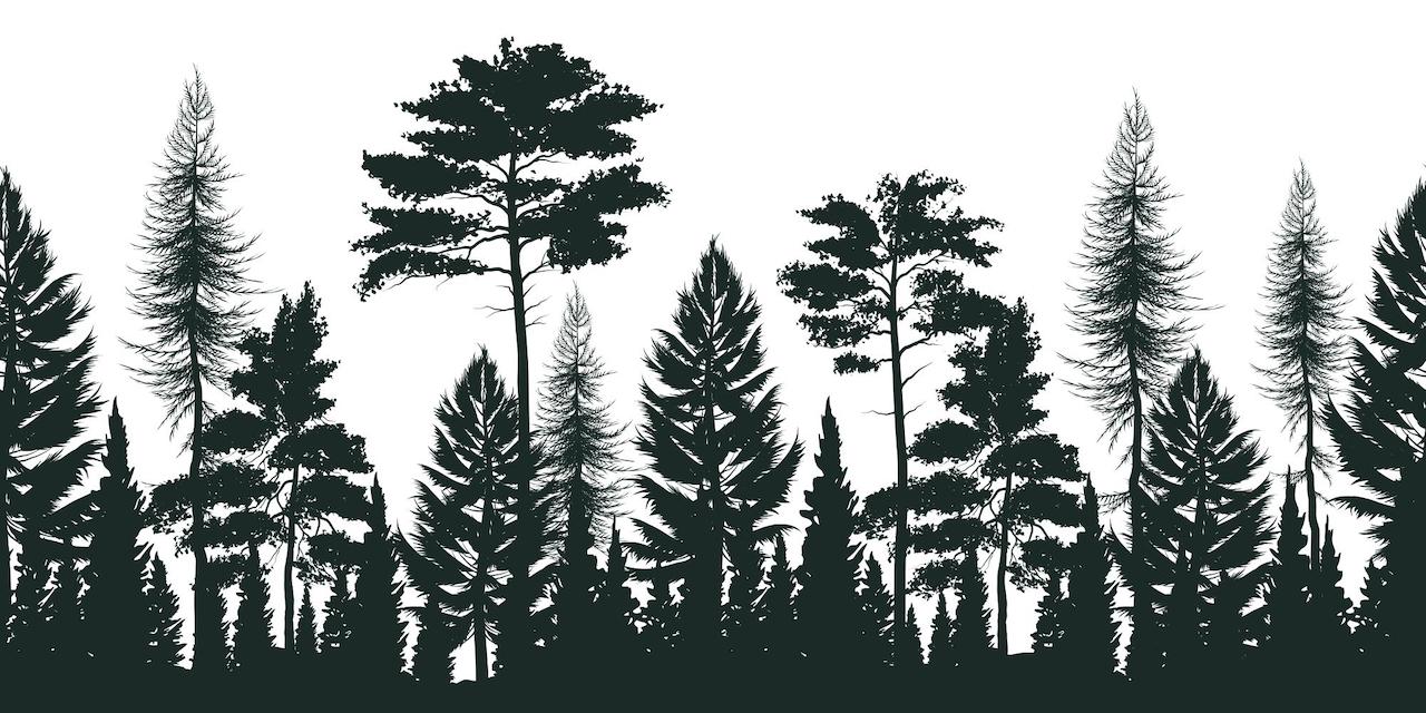 GitHub pyensemble/wildwood Advanced random forest methods in Python