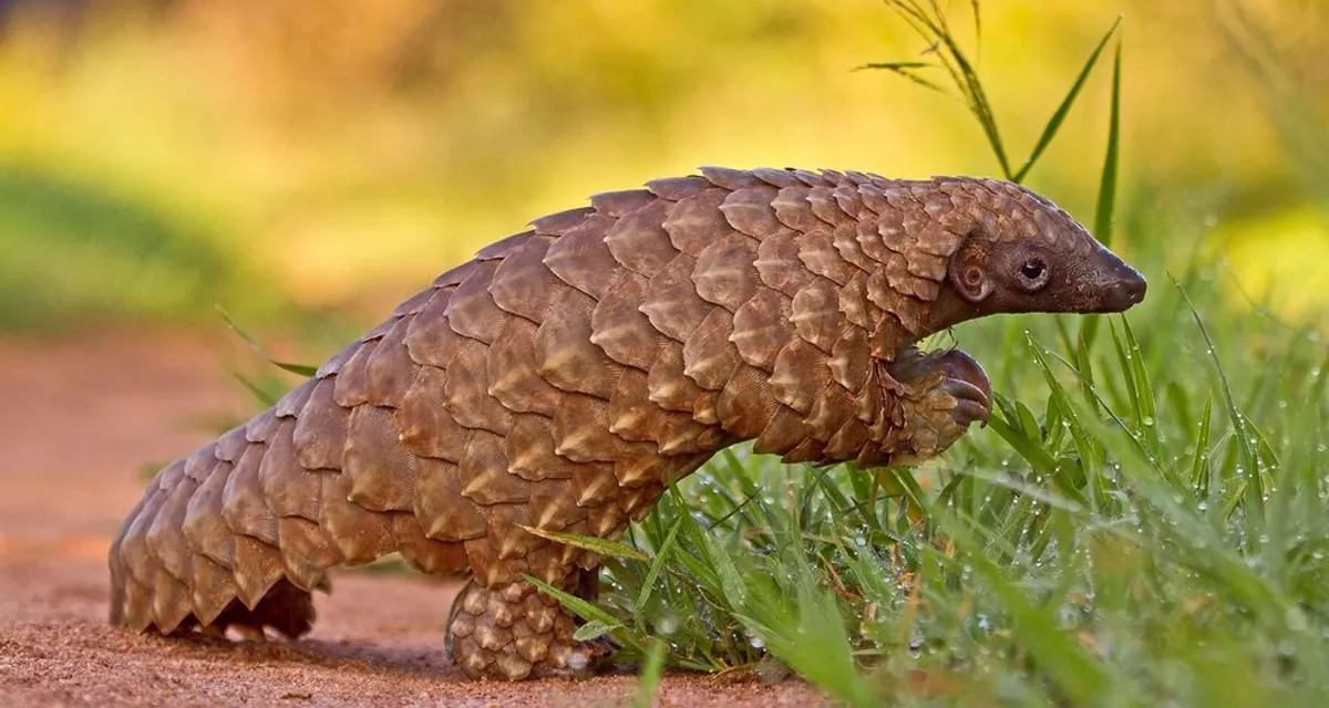 coolhaircut.github.io