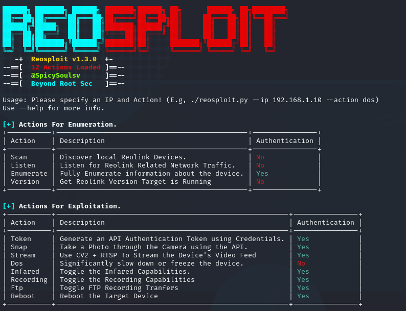 python ip cam