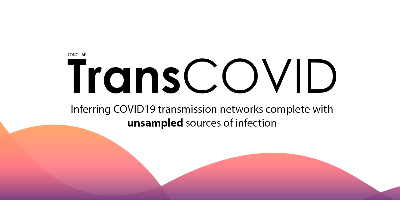 TransCOVID