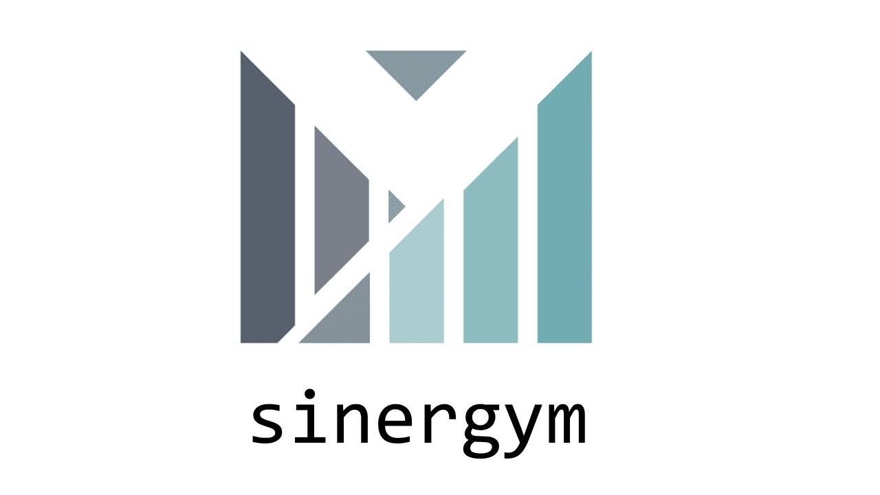 sinergym