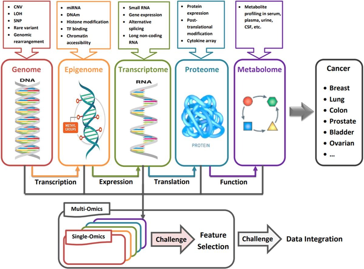 GitHub - hsaxe/Omics-Analyst: R package to facilitate omics analyses