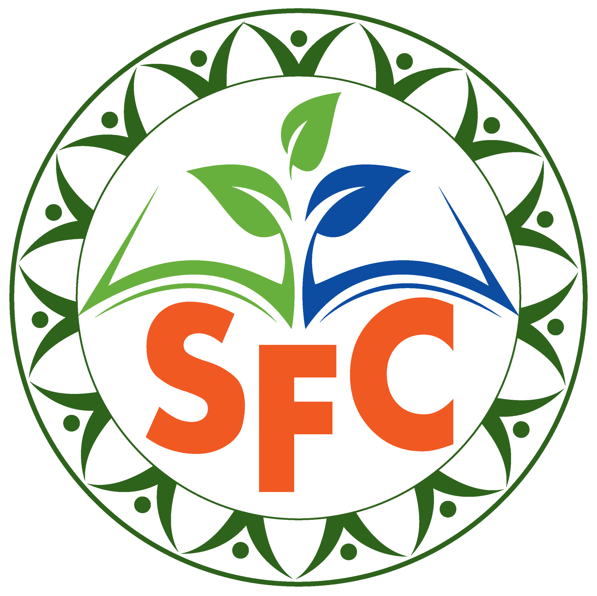 sfc-foundations