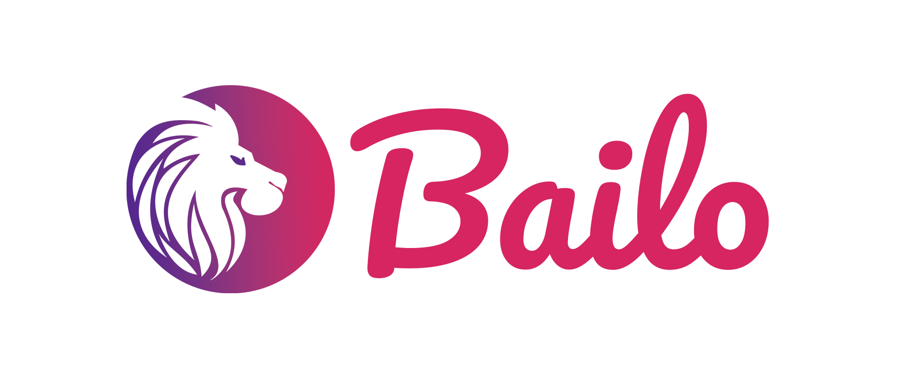 Bailo website preview