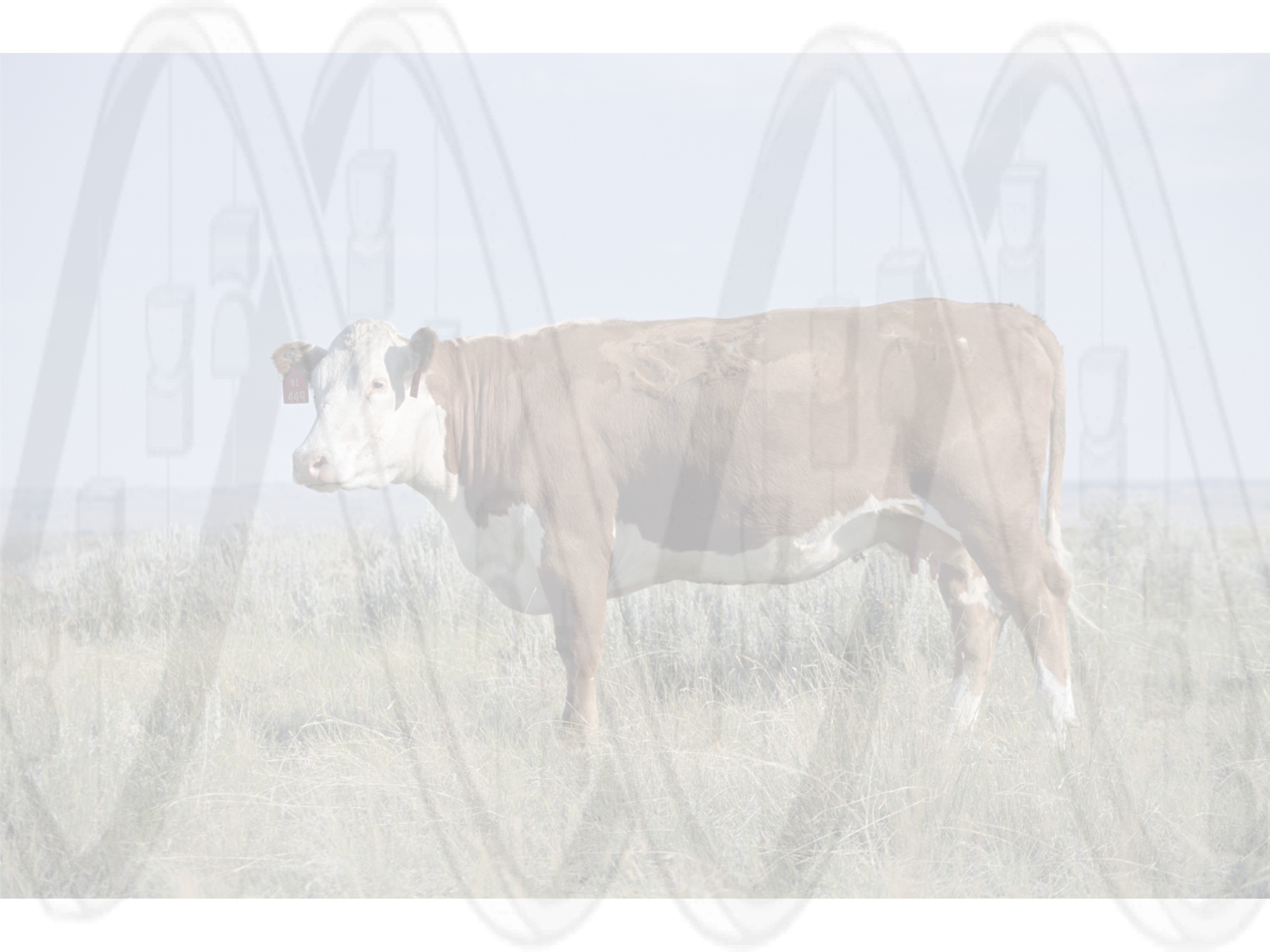 BIOINF-3010-7150/Assignments/Assignment_1 at master · University-of ...