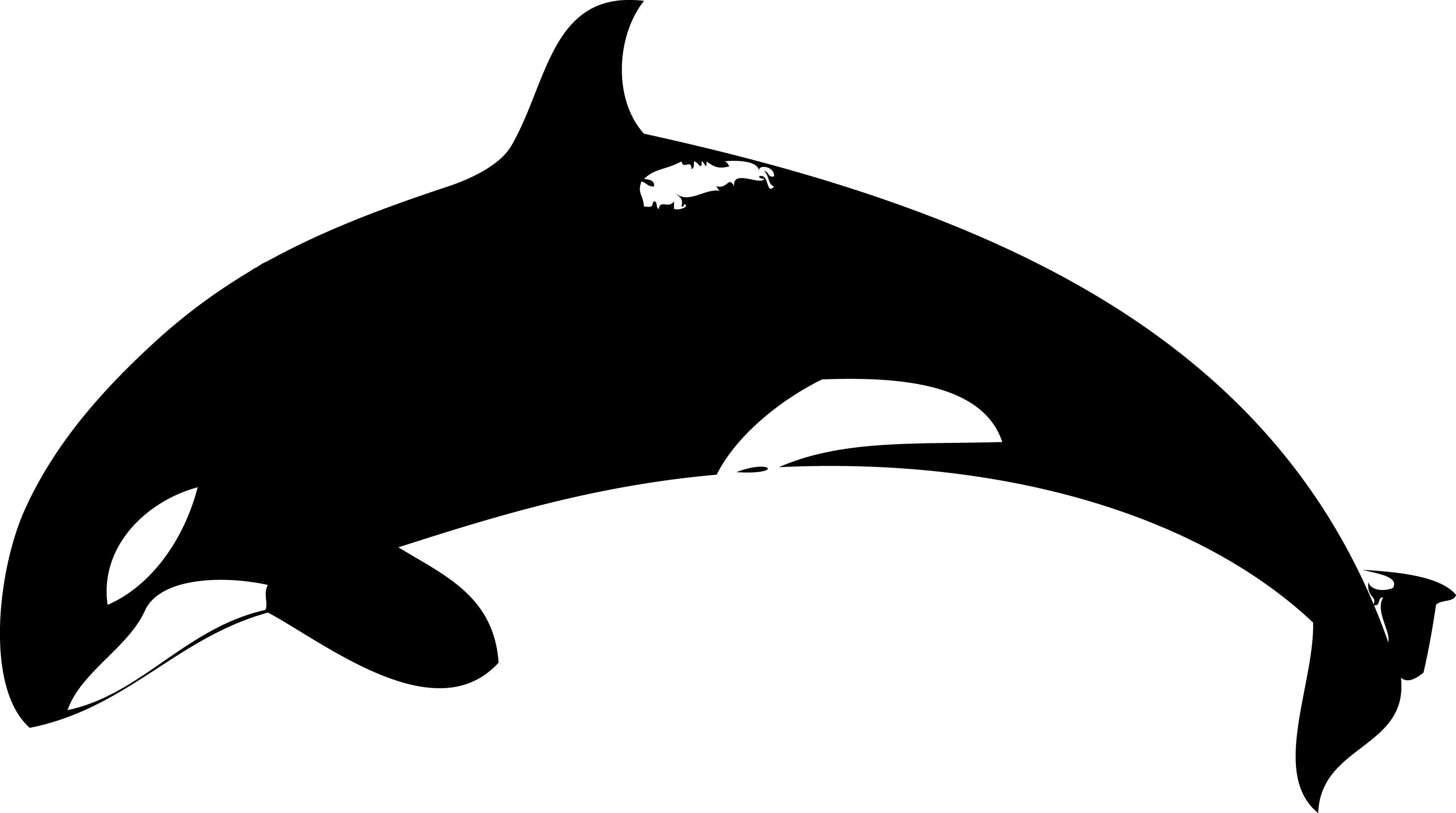 GitHub - tgrx/whalekiller: Whale Killer is a security monitoring ...