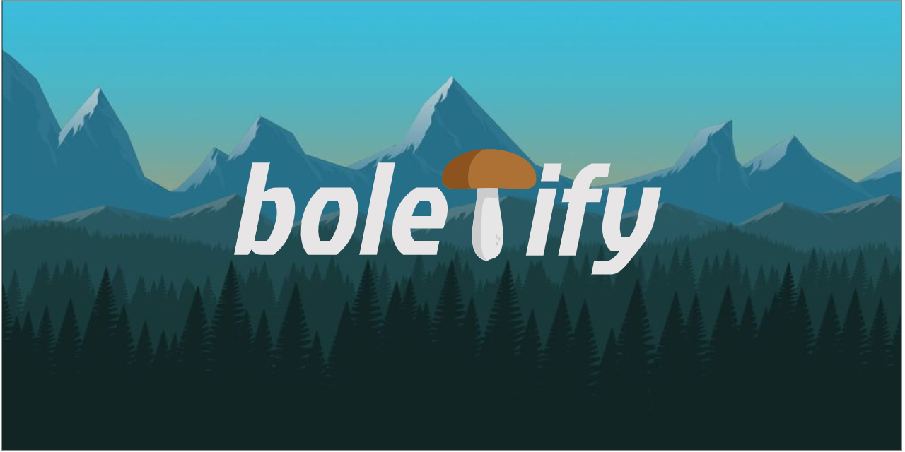 Boletify