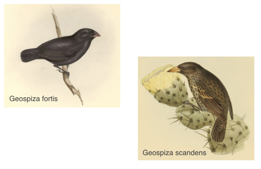 40-Years-of-Evolution-in-Data