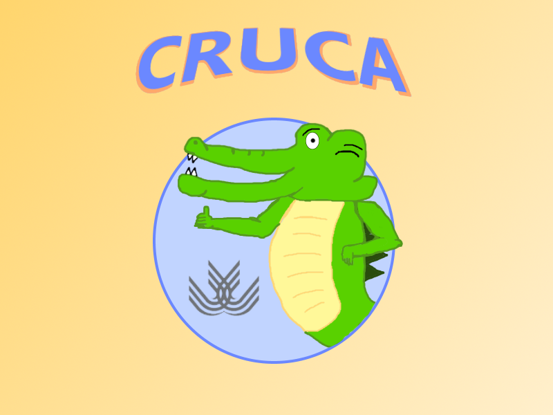 dss2020-2021-CRUCA