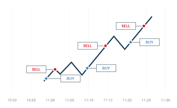 trading-strategy-explorer